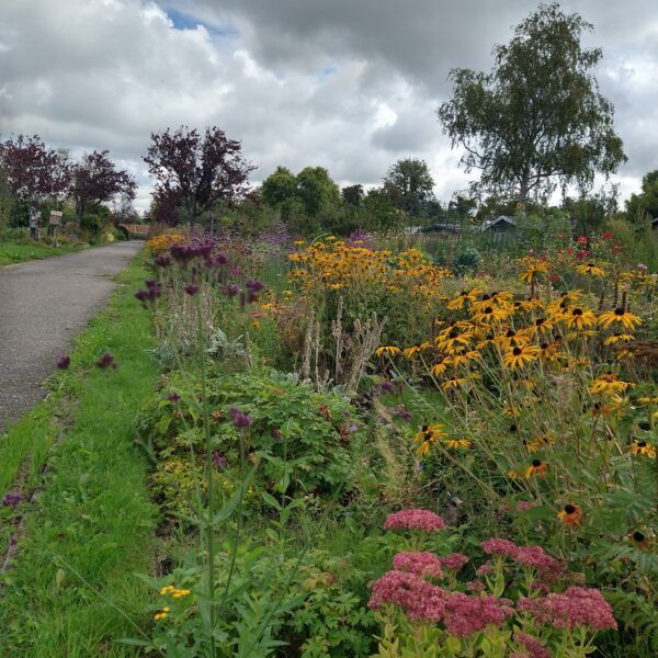 Perk langs de Hazelaarlaan