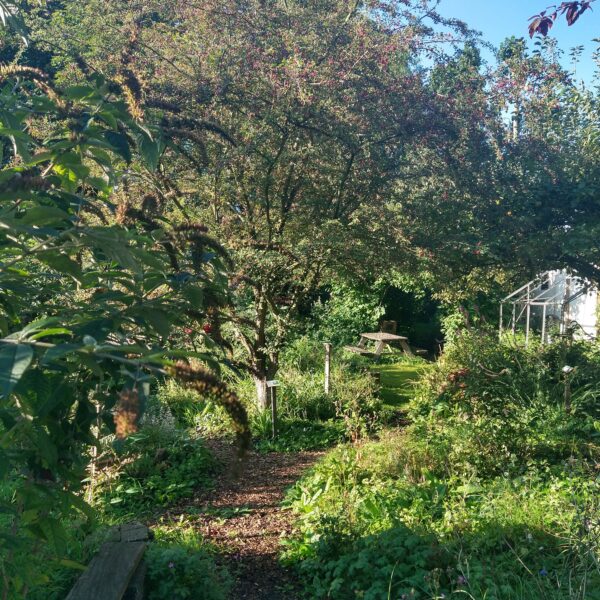 Natuurtuin staat in de zon