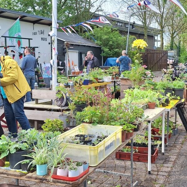 Plantjesmarkt op de voorplein